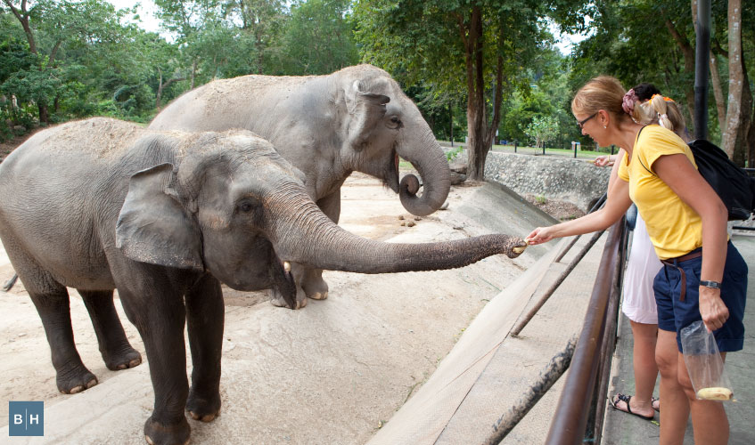 Visit a local nature attraction